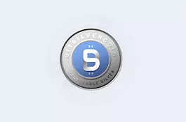 BITSILVERCOIN - BRANDING WORKS